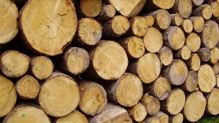 verweist auf: Kurzstellungnahme des SRU zu den Eckpunkten der Nationalen Biomassestrategie Holzstapel (verweist auf: Kurzstellungnahme des SRU zu den Eckpunkten der Nationalen Biomassestrategie)