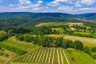 verweist auf: Renaturierung: Biodiversität stärken, Flächen zukunftsfähig bewirtschaften Renaturierung - Landschaft (verweist auf: Renaturierung: Biodiversität stärken, Flächen zukunftsfähig bewirtschaften)