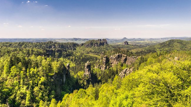 Biodiversität und Naturschutz